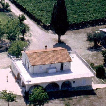 Agriturismo Torre Mannella - La Loggia Città Sant'Angelo Eksteriør billede